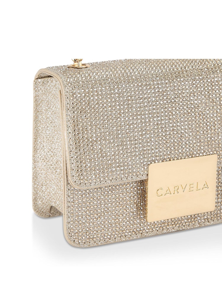 Buy Carvela Bee Mini Xbody Bag from Next Oman