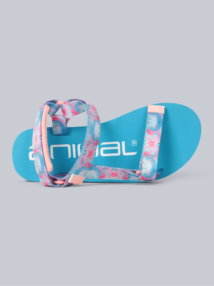 Animal Blue Kids Drift Sandals - Image 2 of 7