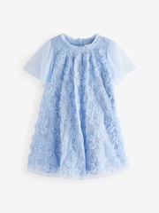 Blue Mesh Flower Print  Dress (3mths-7yrs) - Image 1 of 4