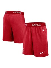 Fanatics Boston Red Sox Authentic Dri Fit Shorts - Image 1 of 3