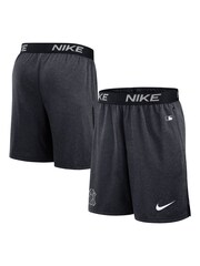 Fanatics Dri-FIT Grey New York Yankees Authentic Shorts - Image 1 of 3