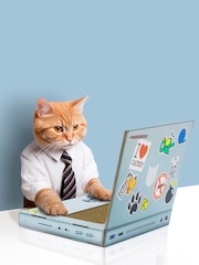 Suck UK Grey Cat Scratch Laptop Pet Toy - Image 4 of 4