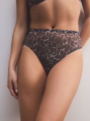 Animal Print High Rise High Leg Mesh High Leg Knickers - Image 1 of 5