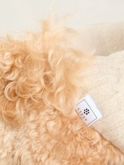 Lipsy Cream Super Soft Cable Design Dog Jumper with Wool - Image 4 of 4