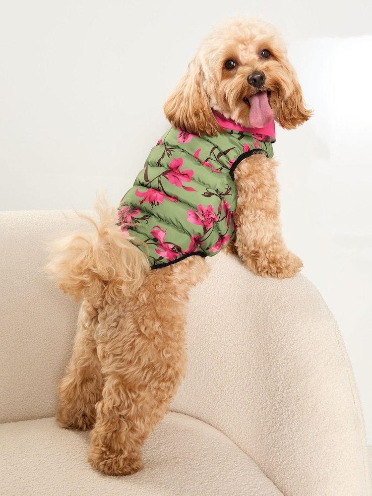 Lipsy Pink Reversible Dog Padded Jacket - Image 1 of 4 Lipsy Pink Reversible Dog Padded Jacket - Image 1 of 4
