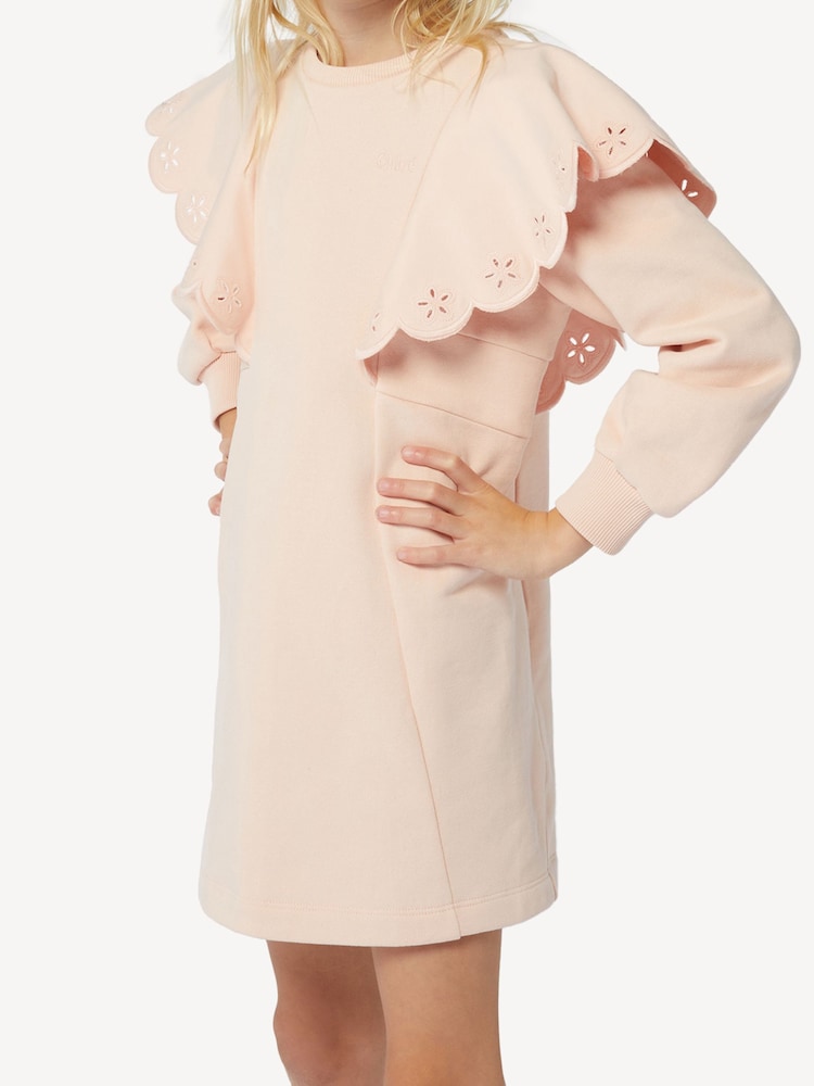 Chloé Pink Long Sleeve Jumper Dress With Frill Sleeves - Image 4 of 4