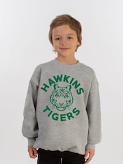 Brands In Grey Netflix Stranger Things Hawkins Tigers Boys Heather Sweatshirt - Image 1 of 3