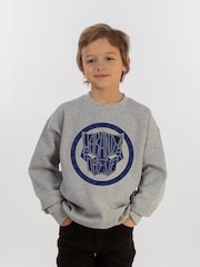 Brands In Grey Marvel Wakanda Forever Icon Boys Heather Sweatshirt - Image 1 of 3