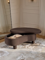 Soft Velvet Chocolate Brown Bloor Storage Coffee Table - Image 2 of 8