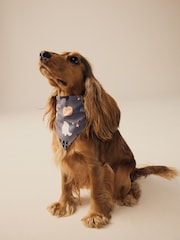 Grey Matching Family Halloween Pet Bandana - Image 1 of 5