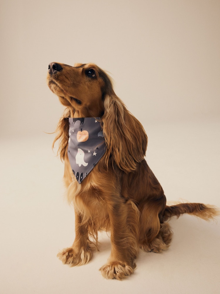Grey Matching Family Halloween Pet Bandana - Image 1 of 5
