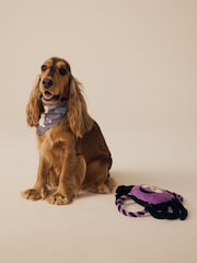Grey Matching Family Halloween Pet Bandana - Image 3 of 5