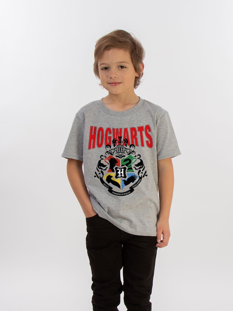 Brands In Grey 100% Cotton Harry Potter Hogwarts Emblem Boys Heather T-Shirt - Image 1 of 3