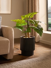 Green Large Artificial Light Up Alocasia Plant - Image 1 of 5