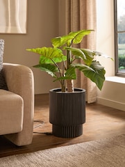 Green Large Artificial Light Up Alocasia Plant - Image 3 of 5