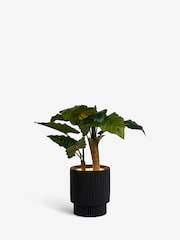 Green Large Artificial Light Up Alocasia Plant - Image 4 of 5