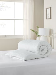 Kolekcija Luxe raca puh in pero duvet - Slika 1 iz 2