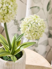 White Artificial Allium Plant In Ribbed Ceramic Pot - Image 2 of 4