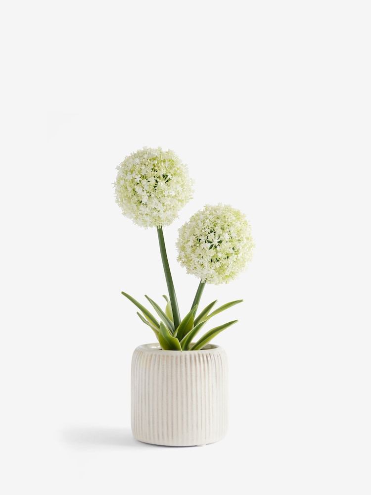 White Artificial Allium Plant In Ribbed Ceramic Pot - Image 3 of 4