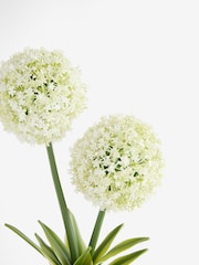 White Artificial Allium Plant In Ribbed Ceramic Pot - Image 4 of 4