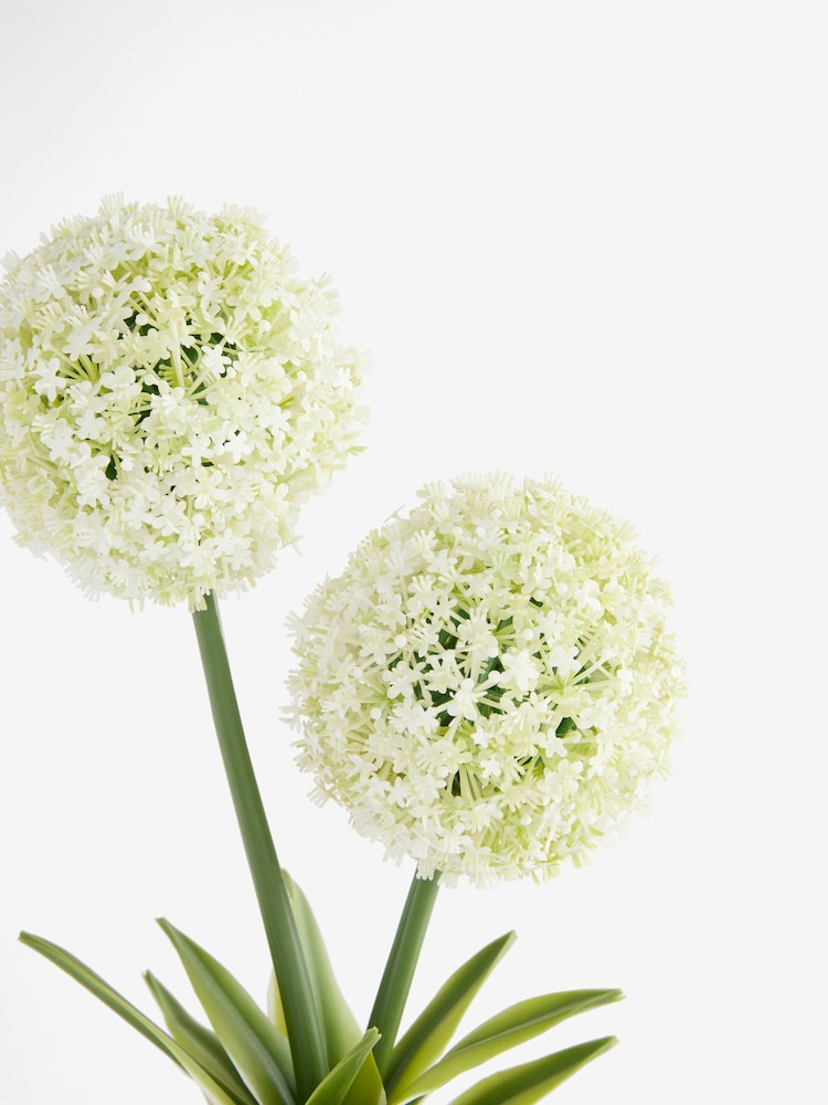 White Artificial Allium Plant In Ribbed Ceramic Pot - Image 4 of 4
