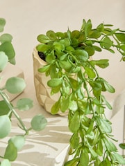 Green Artificial Trailing Plants In Mini Gold Hex Pots - Image 2 of 4