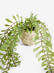 Green Artificial Trailing Plants In Mini Gold Hex Pots - Image 4 of 4