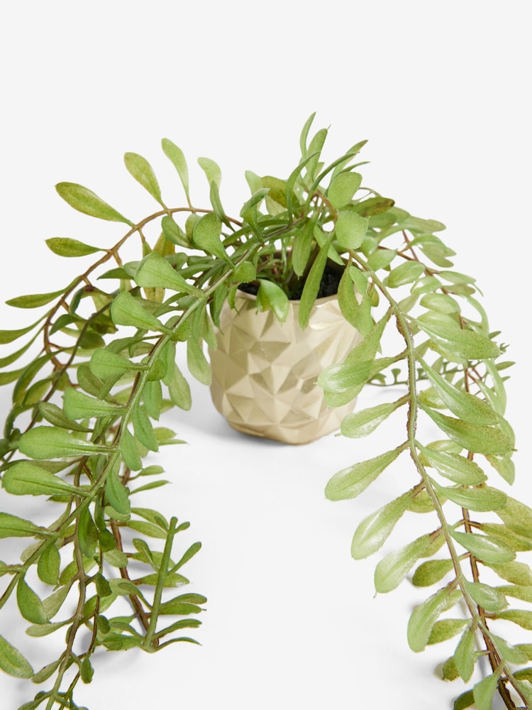 Green Artificial Trailing Plants In Mini Gold Hex Pots - Image 4 of 4
