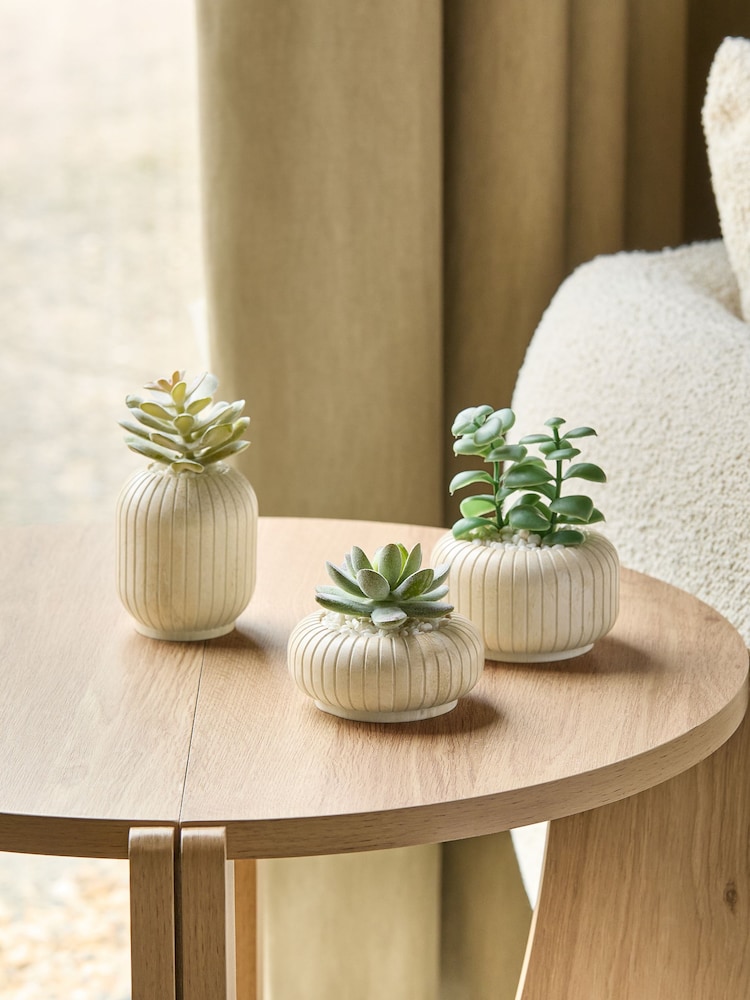 Set of 3 Green Succulents In Ribbed Plant Pots - Image 1 of 3