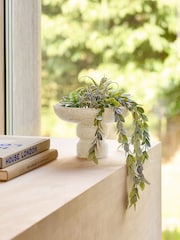Green Succulent and Trailing Mix in Stone Bowl - Image 1 of 2