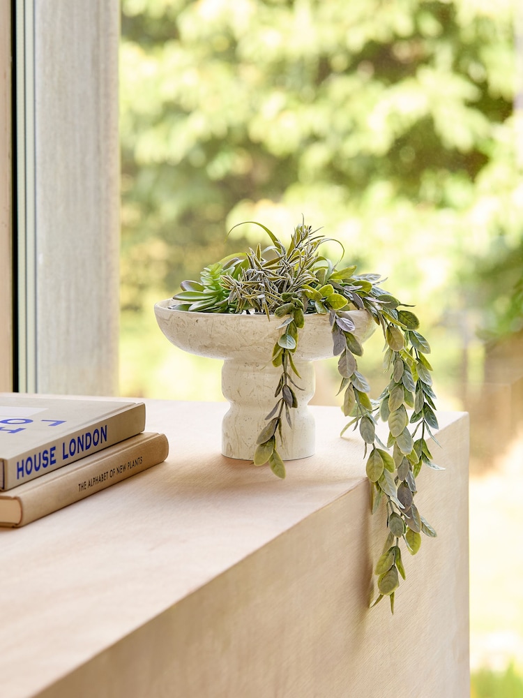 Green Succulent and Trailing Mix in Stone Bowl - Image 1 of 2