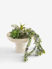 Green Succulent and Trailing Mix in Stone Bowl - Image 2 of 2