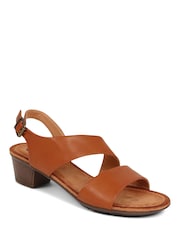 Pavers Tan Block Heeled Sandals - Image 6 of 6