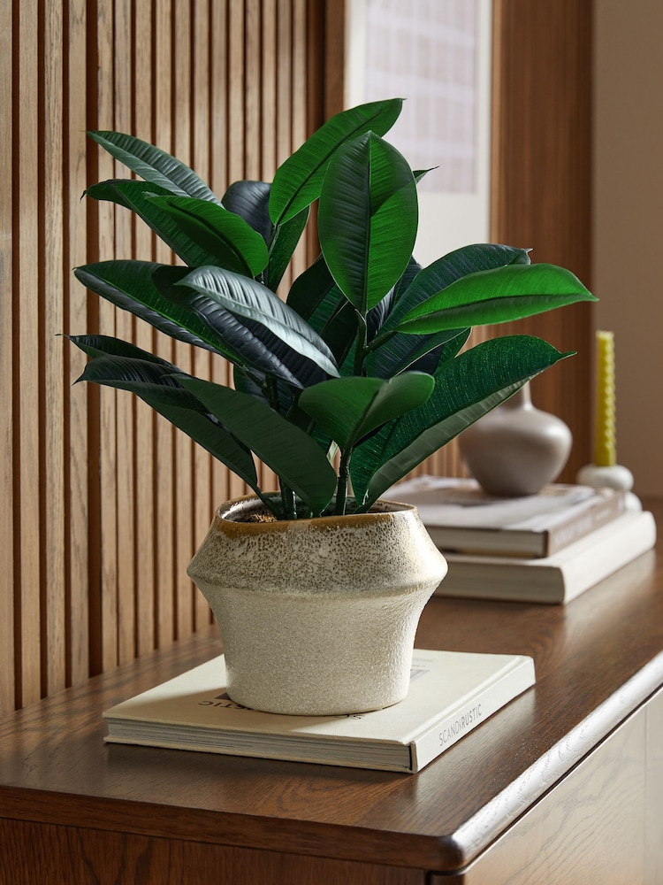 Green Artificial Rubber Plant in Ceramic Pot - Image 1 of 4