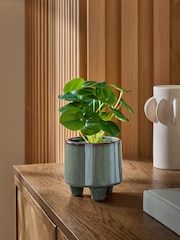 Green Artificial Money Tree Plant In Mini Ceramic Pot - Image 1 of 4