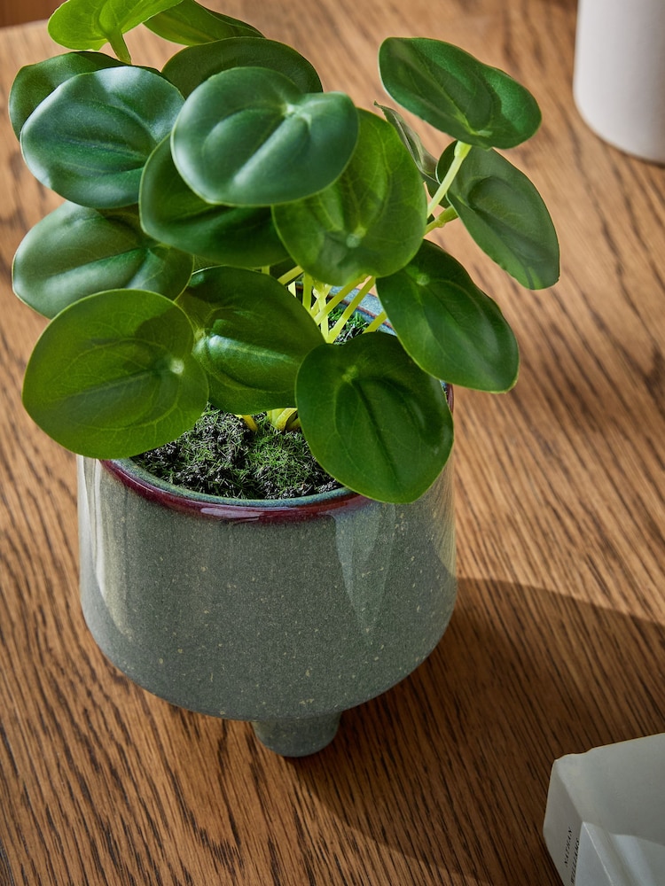 Green Artificial Money Tree Plant In Mini Ceramic Pot - Image 2 of 4