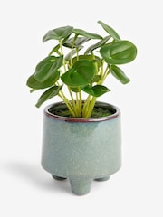 Green Artificial Money Tree Plant In Mini Ceramic Pot - Image 3 of 4