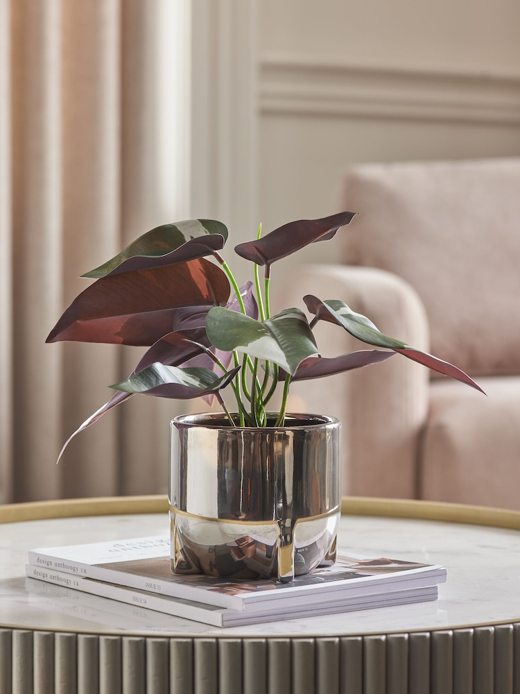 Silver Artificial Variegated Plant in Chrome Pot - Image 1 of 4