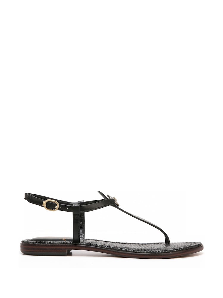 Sam Edelman Gigi Thong Sandals - Image 1 of 6