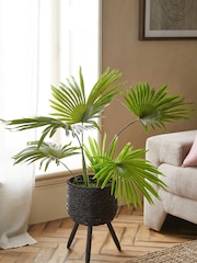 Green Artificial Fan Palm Plant In Black Woven Planter - Image 3 of 5