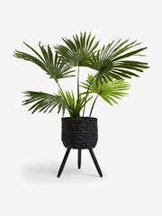 Green Artificial Fan Palm Plant In Black Woven Planter - Image 4 of 5