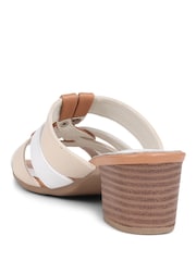 Pavers Block Heeled Mule Brown Sandals - Image 3 of 5
