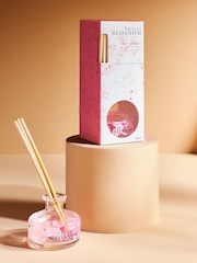 Apricot Blossom 70ml Diffuser - Image 1 of 4