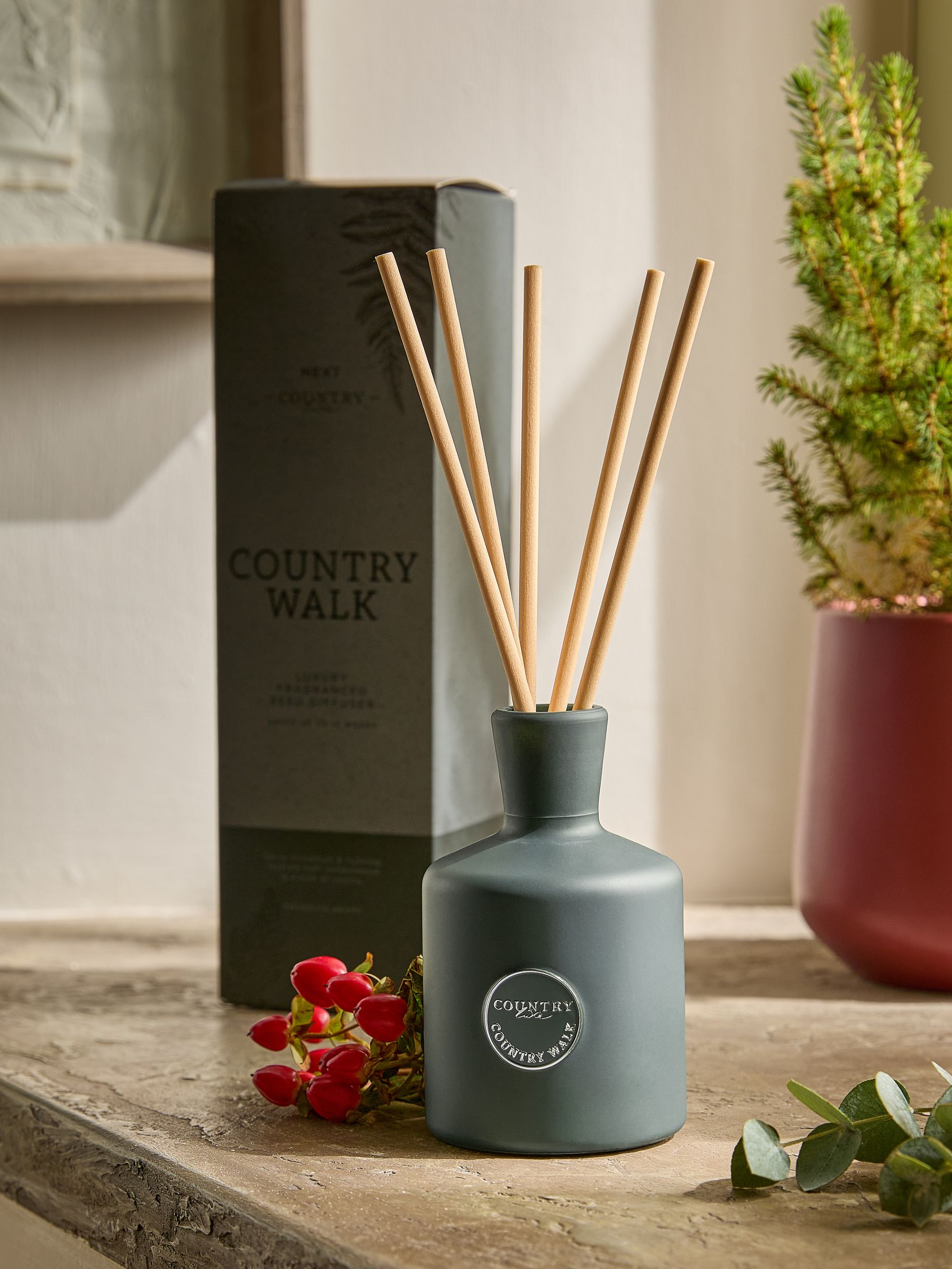 Buy Country Walk Pine and Eucalyptus 170ml Fragranced Reed