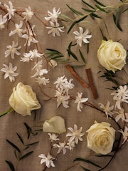 Country Luxe Berry and Bay 400ml Luxury Fragranced Reed Diffuser - Image 4 of 4