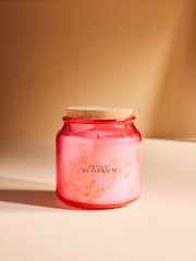 Peach Pink Apricot Blossom Jar Candle - Image 1 of 5