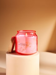 Peach Pink Apricot Blossom Jar Candle - Image 2 of 5