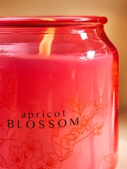 Peach Pink Apricot Blossom Jar Candle - Image 3 of 5