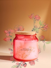 Peach Pink Apricot Blossom Jar Candle - Image 4 of 5