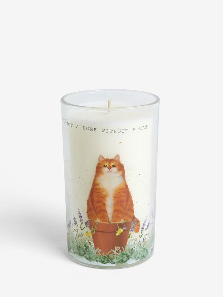 Orange Tiggy the Cat White Jasmine Pillar Candle - Image 1 of 3